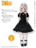  Azone Pureneemo PNS Cat Cafe Maid Set Black x White Momoko Doll Pullip Obitsu 